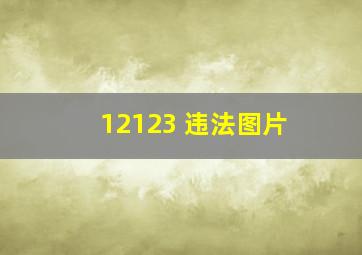 12123 违法图片